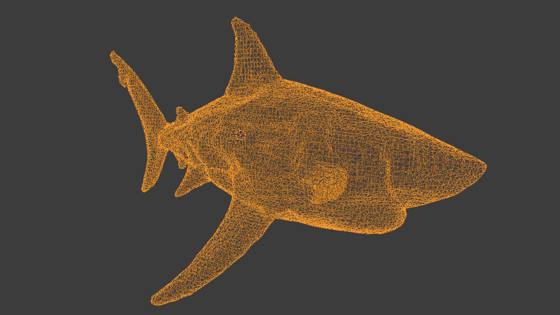 3D Great White Shark - TurboSquid 2231899