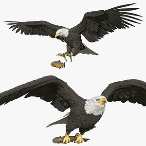 3D Bald Eagle Hunting Flight Animated Rigged For Blender