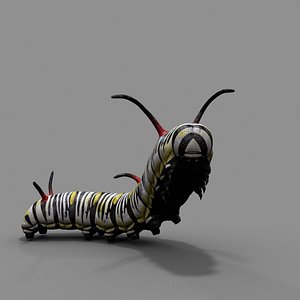 3d model worm