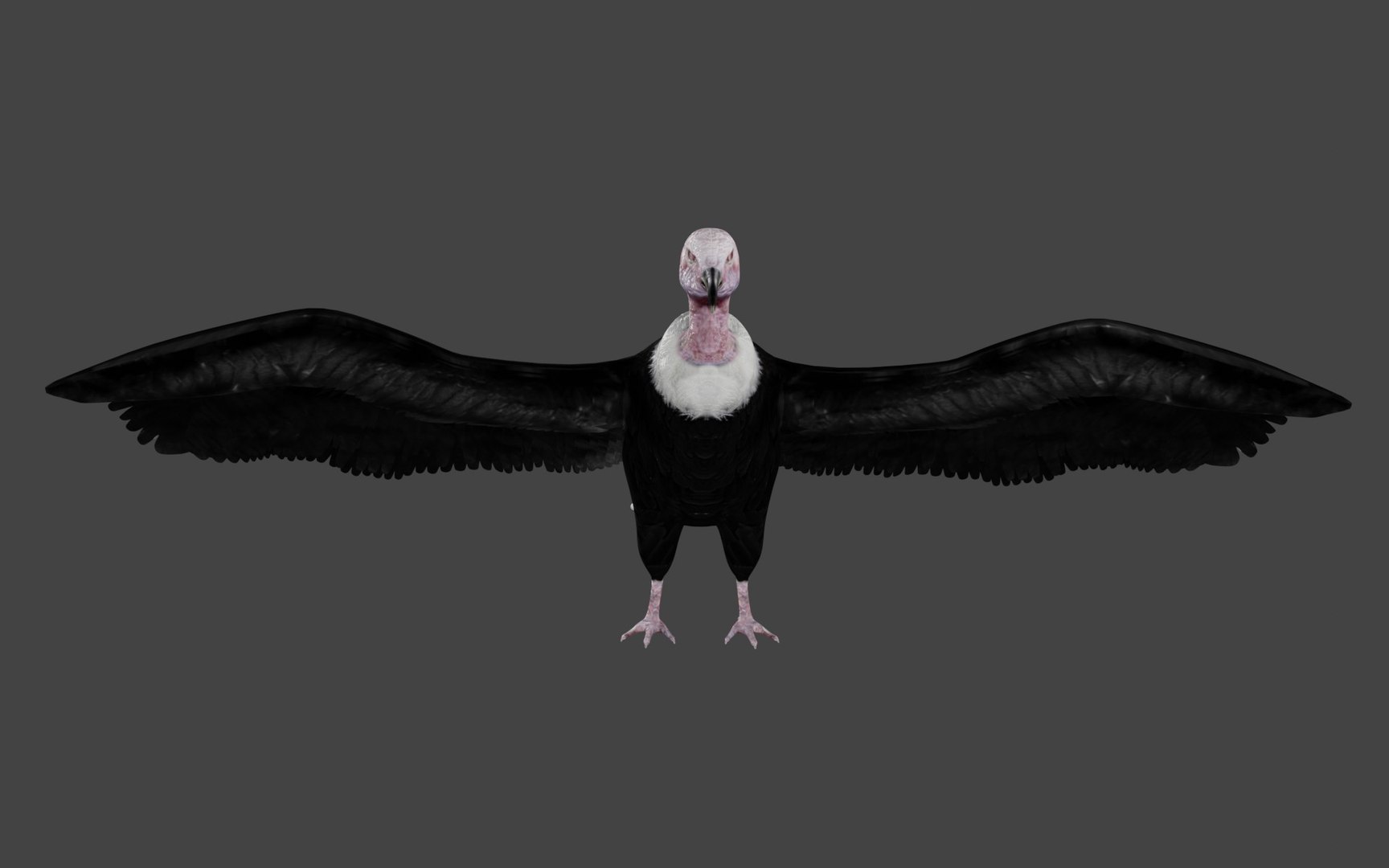 different version vulture 3D https://p.turbosquid.com/ts-thumb/Vi/xefLck/Z5/b6/jpg/1609007985/1920x1080/fit_q87/0f08d75c76ccb3ec4121ab8d4652cb5a55641a1a/b6.jpg