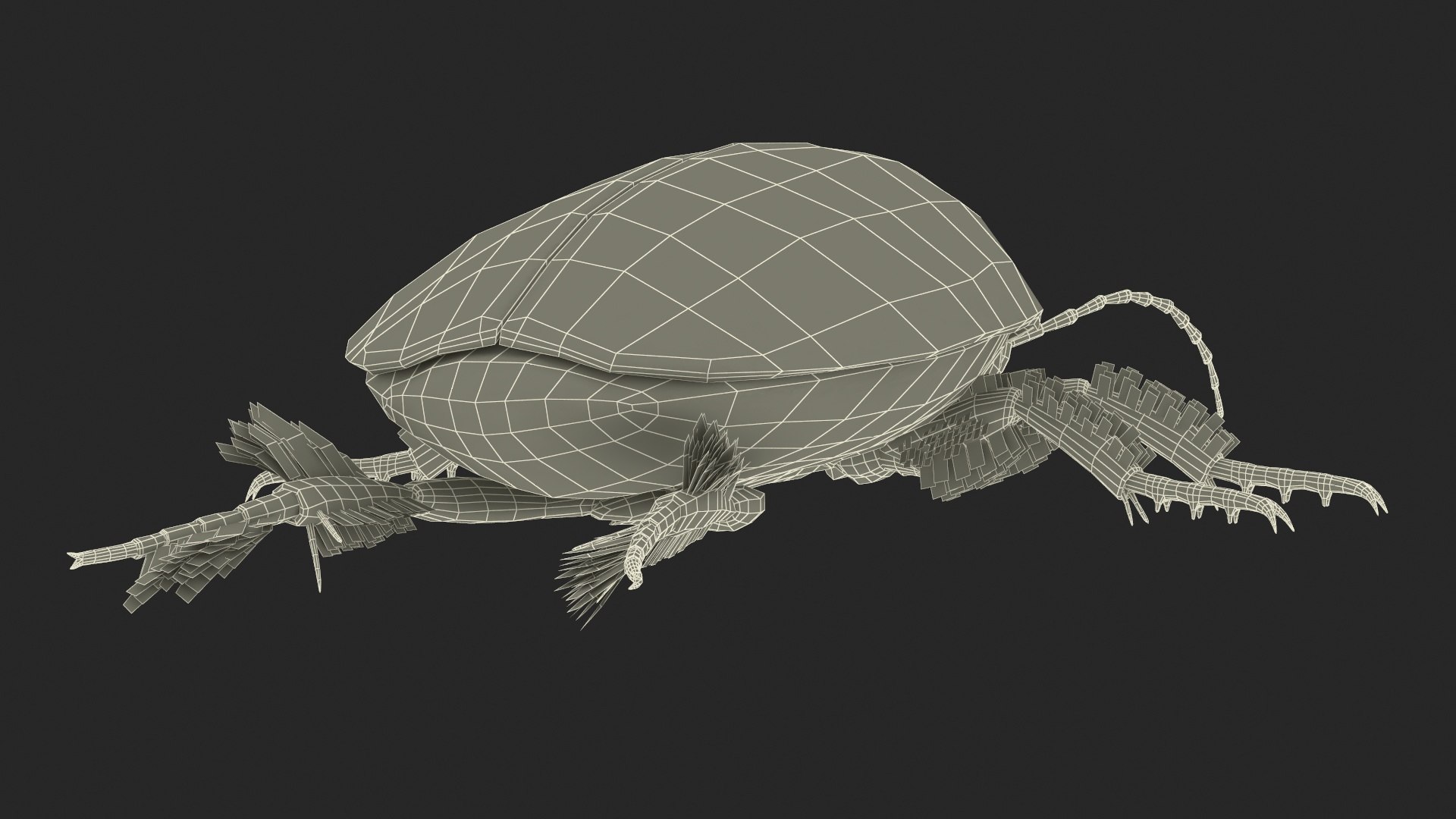 Water Beetle Beige 3D model https://p.turbosquid.com/ts-thumb/Vi/ypCKqD/K0/waterbeetlebeigevray3dmodel032/jpg/1718270690/1920x1080/fit_q87/8c56eb7f76f0b5ba022e435987ebaec047e44182/waterbeetlebeigevray3dmodel032.jpg