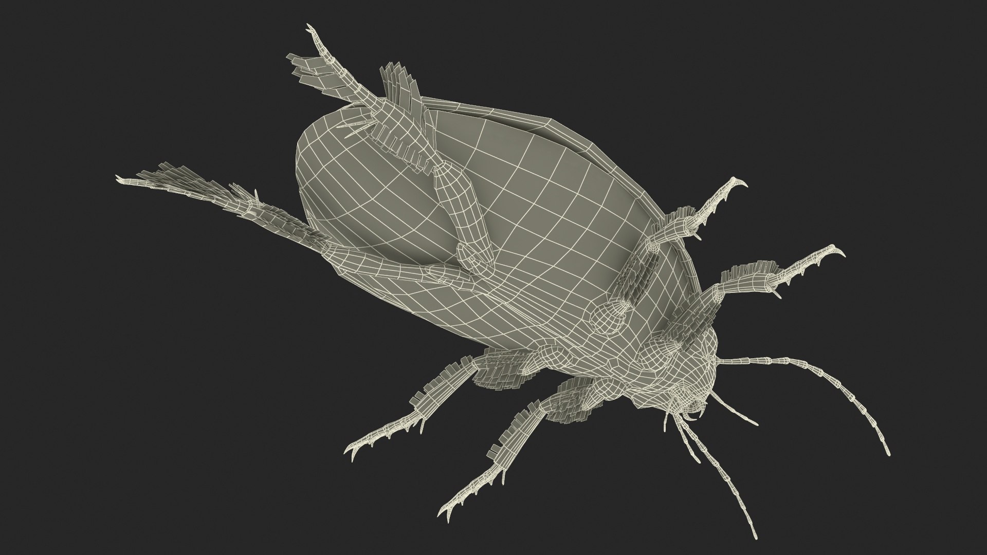 Water Beetle Beige 3D model https://p.turbosquid.com/ts-thumb/Vi/ypCKqD/a5/waterbeetlebeigevray3dmodel034/jpg/1718270697/1920x1080/fit_q87/37853e887552cbd0140df8a1b76e438037f19d0e/waterbeetlebeigevray3dmodel034.jpg