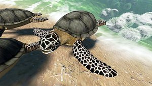 caretta sea turtle 3d model