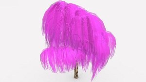 weeping tree rose color 3D