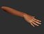 3D hand rigged model