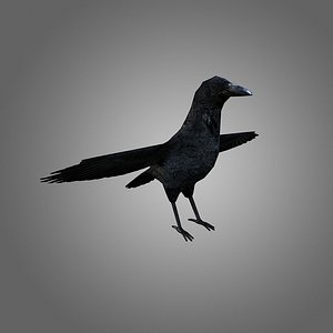 crow low-poly 3d 3ds