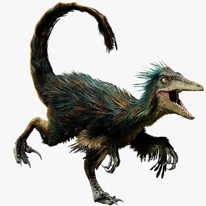 troodon Fur 3D