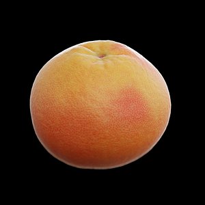 Grapefruit