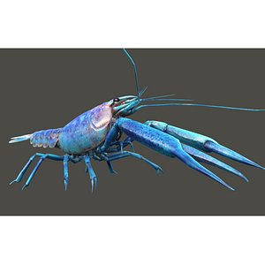 lobster crayfish 3d model