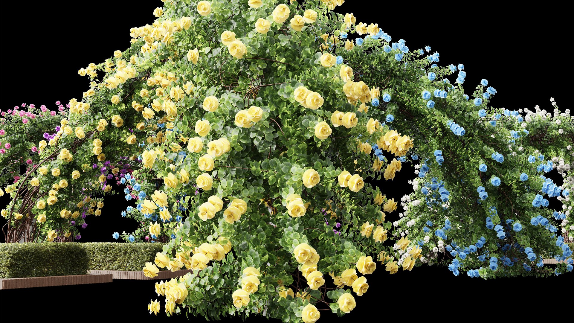 New Plant High Detail Climbing Roses Garden Bow Grow 3D Model ...