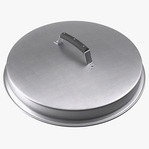 Stainless Steel Lid model
