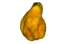 quince model