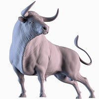 Bull Miura