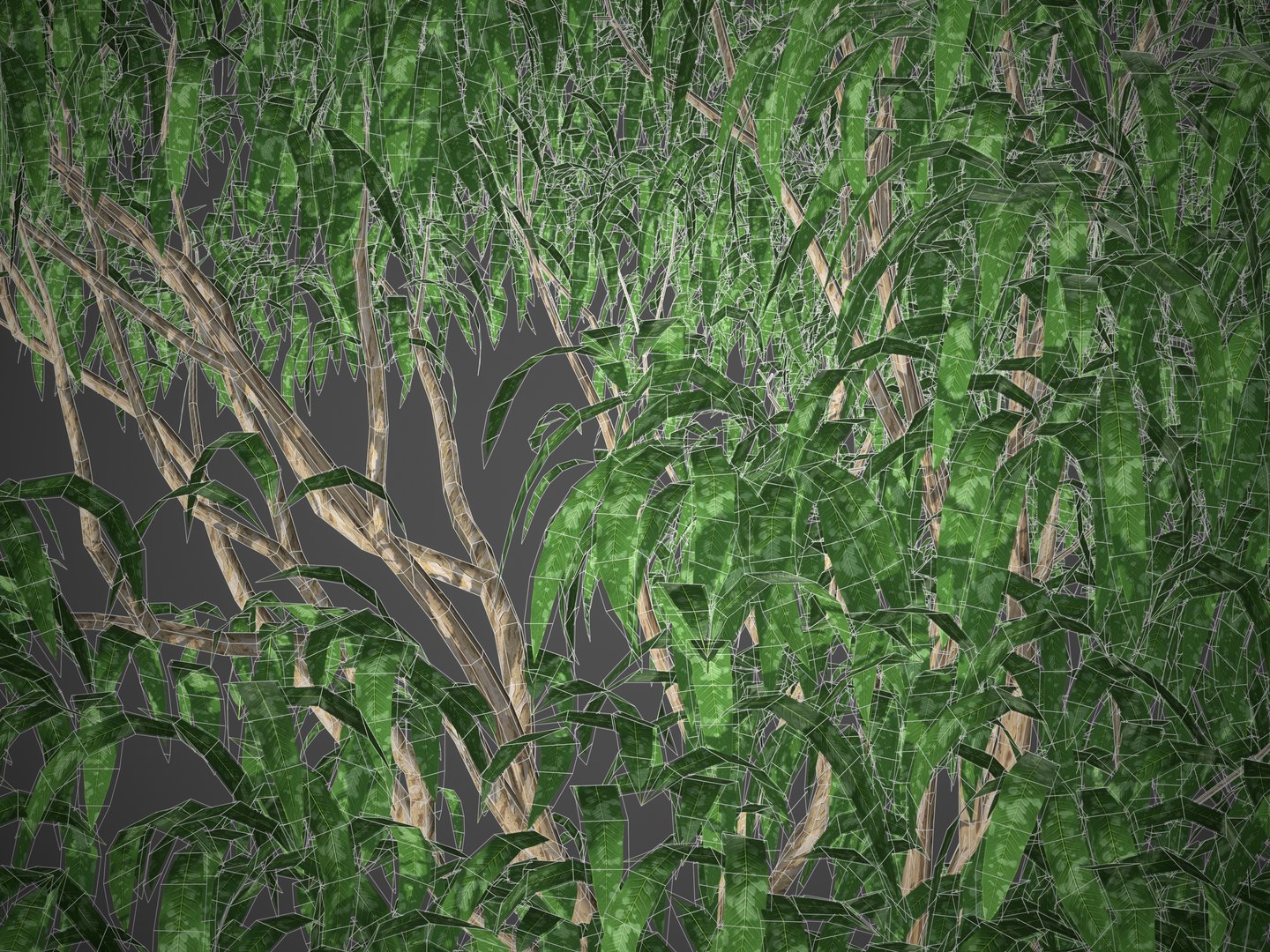 3D XfrogPlants Lemon-Scented Gum - Corymbia Citriodara model https://p.turbosquid.com/ts-thumb/Vk/81hJpU/Yy/screenshot005/jpg/1630344202/1920x1080/fit_q87/7aa5371bba31858f0e2def06df2bfcfb99697571/screenshot005.jpg