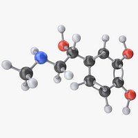 Epinephrine Molecule