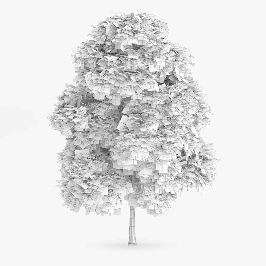 American Chestnut 6 8m 3d Model