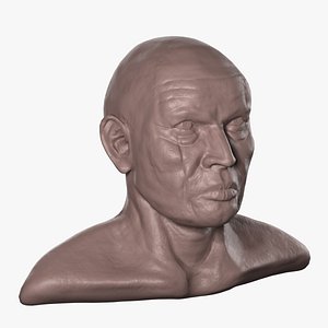 3D Old Man head base mesh model