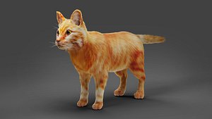 3D Fur Cat Yellow 02 model