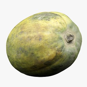3D Papaya Fruit model