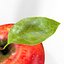 manzana