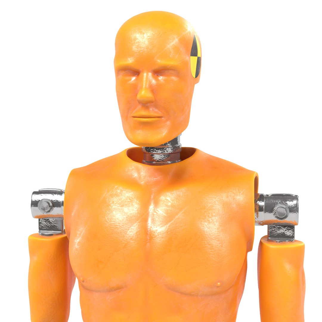 3d Crash Test Dummy Model