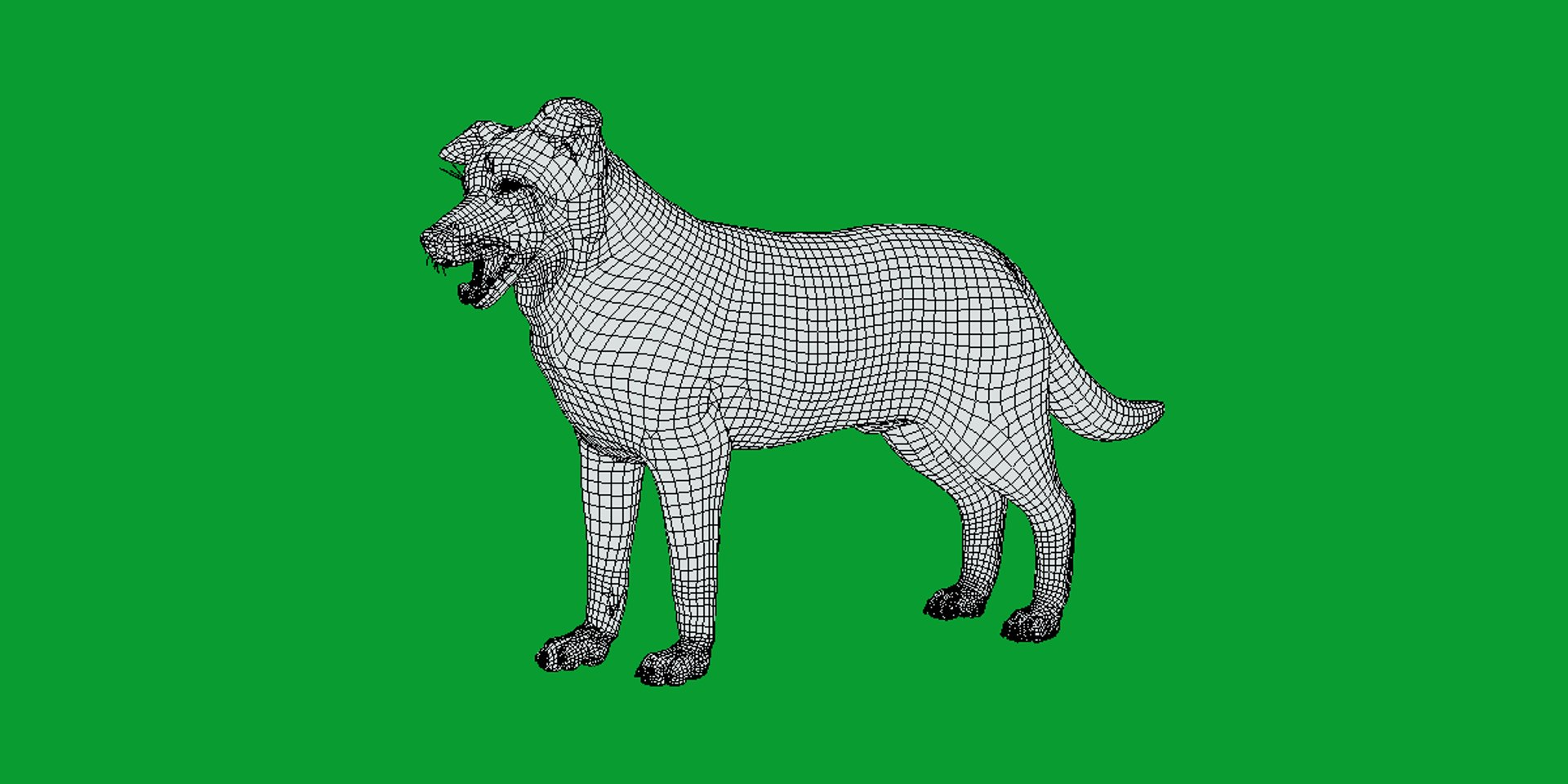 Blue Merle Border Collie Dog Model TurboSquid 2404029 Blue Merle Border Collie Dog Model TurboSquid 2404029