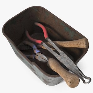Old Hand Tool Set in Rusty Metal Tray