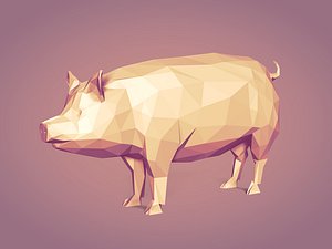 3D cartoon pig toon