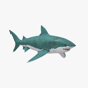 great white shark 3D model