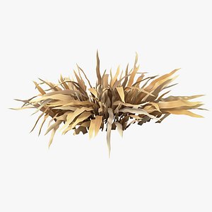 3D Cartoon Dry Grass 12