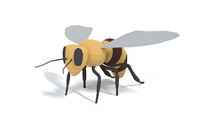 Low Poly Cartoon Honey Bee 3D