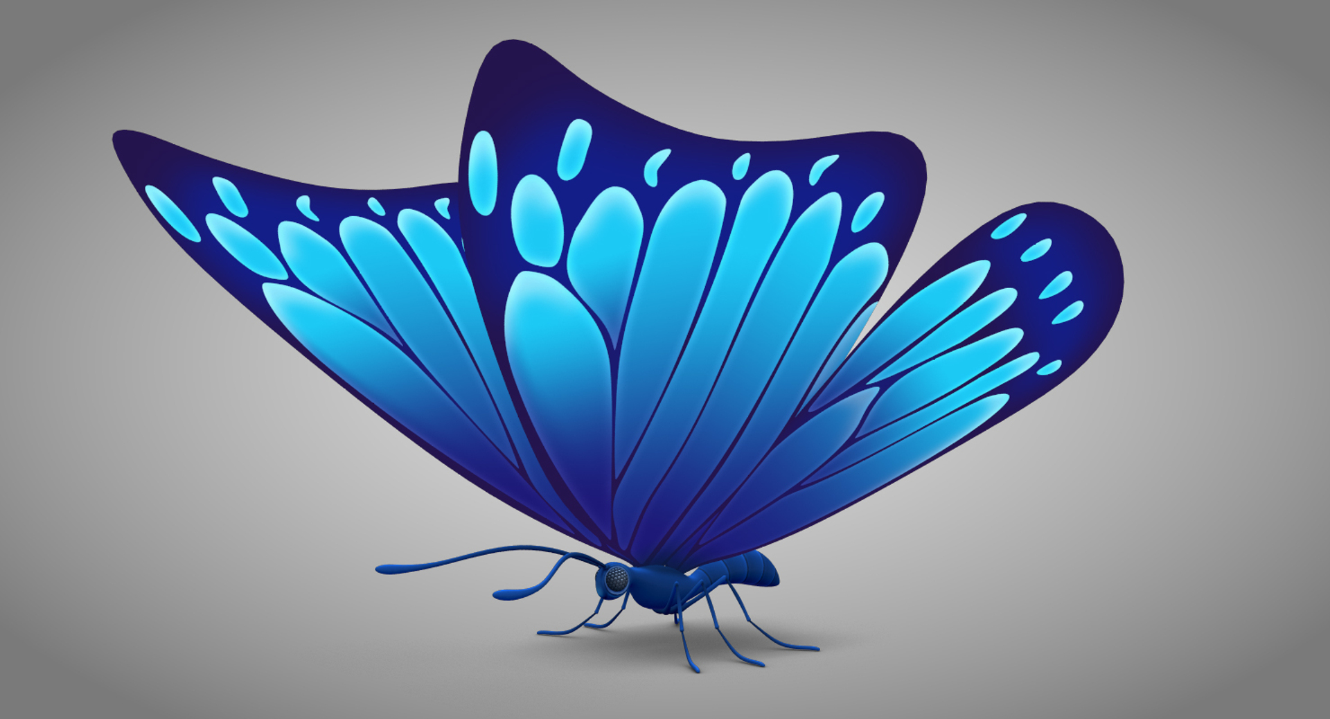 Blue Butterfly 3D, Incl. insect & beautiful - Envato Elements