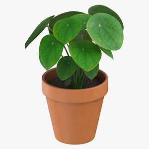 Potted Plant 3D