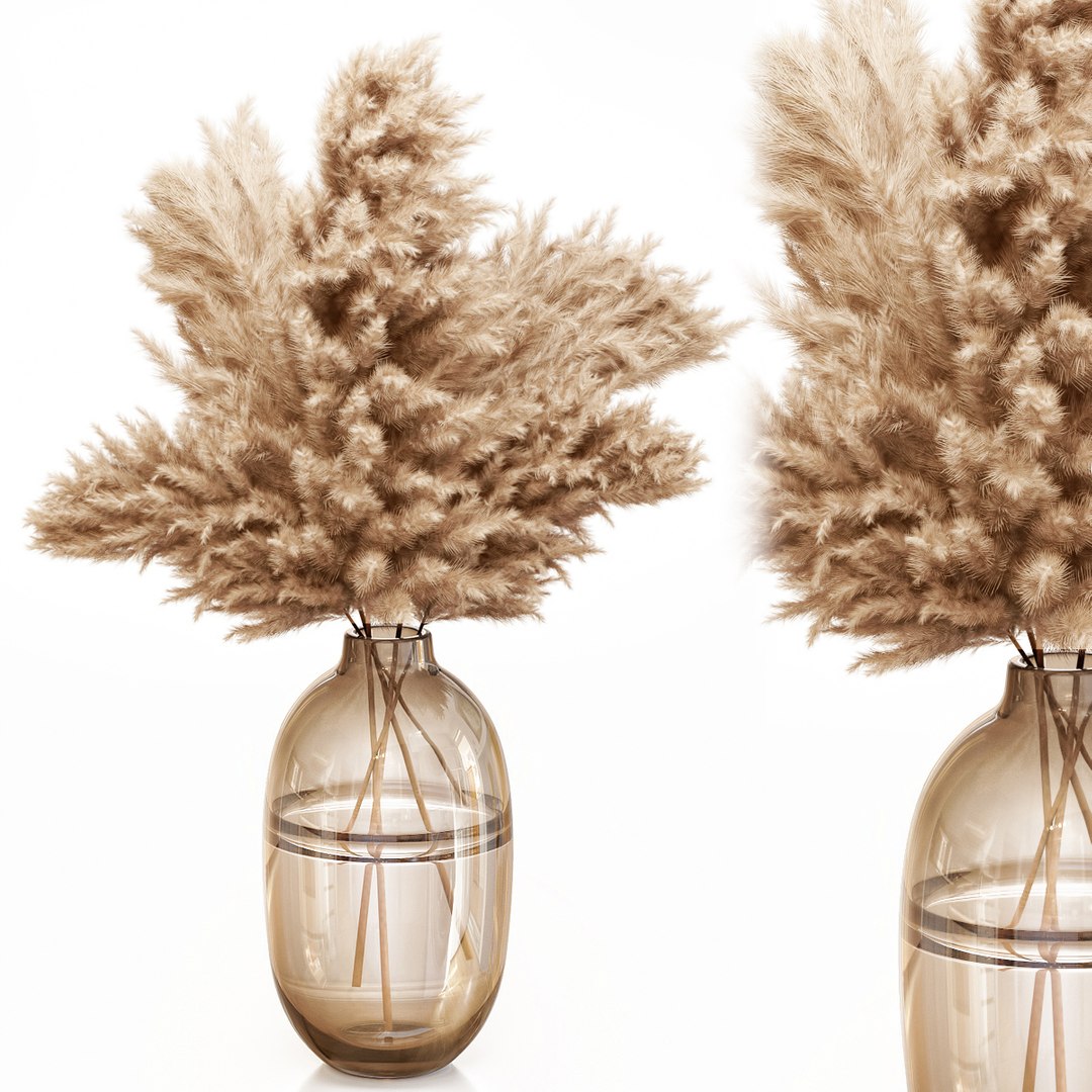 Dry Pampas Grass Glass Vase 3D Model TurboSquid 1662453