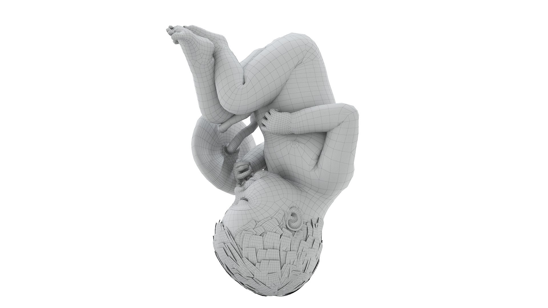 3D model Fetus Anatomy Week 39 Animated - TurboSquid 1793936