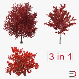 3d autumn red maple trees