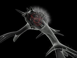 cell alien 3d model