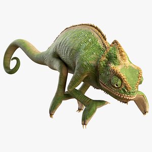 Chamelion Animated Rigged for Blender 3D model
