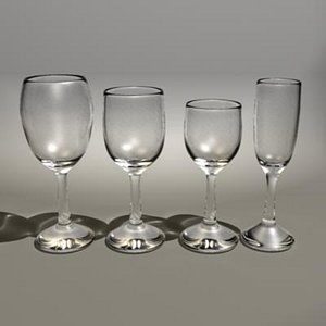 Wine Glasses / Champagne Flute