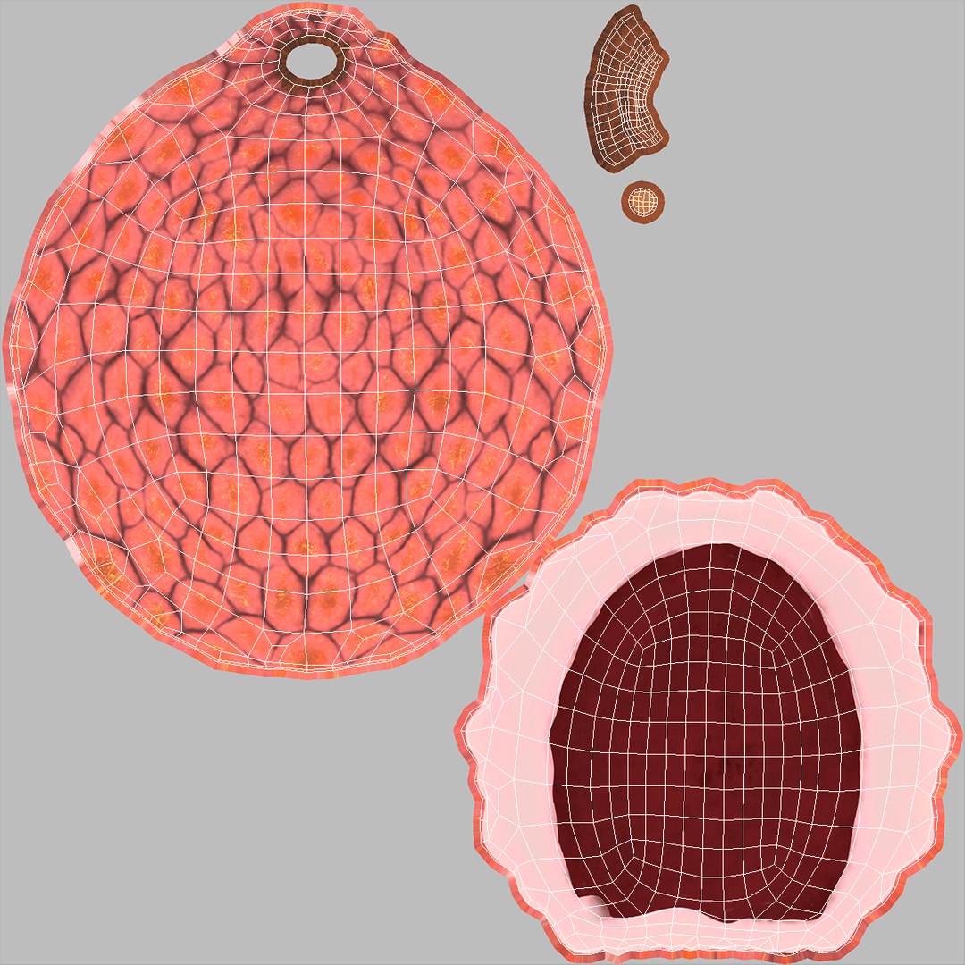 Lychee Fruit Pink 3D Model - TurboSquid 2256055