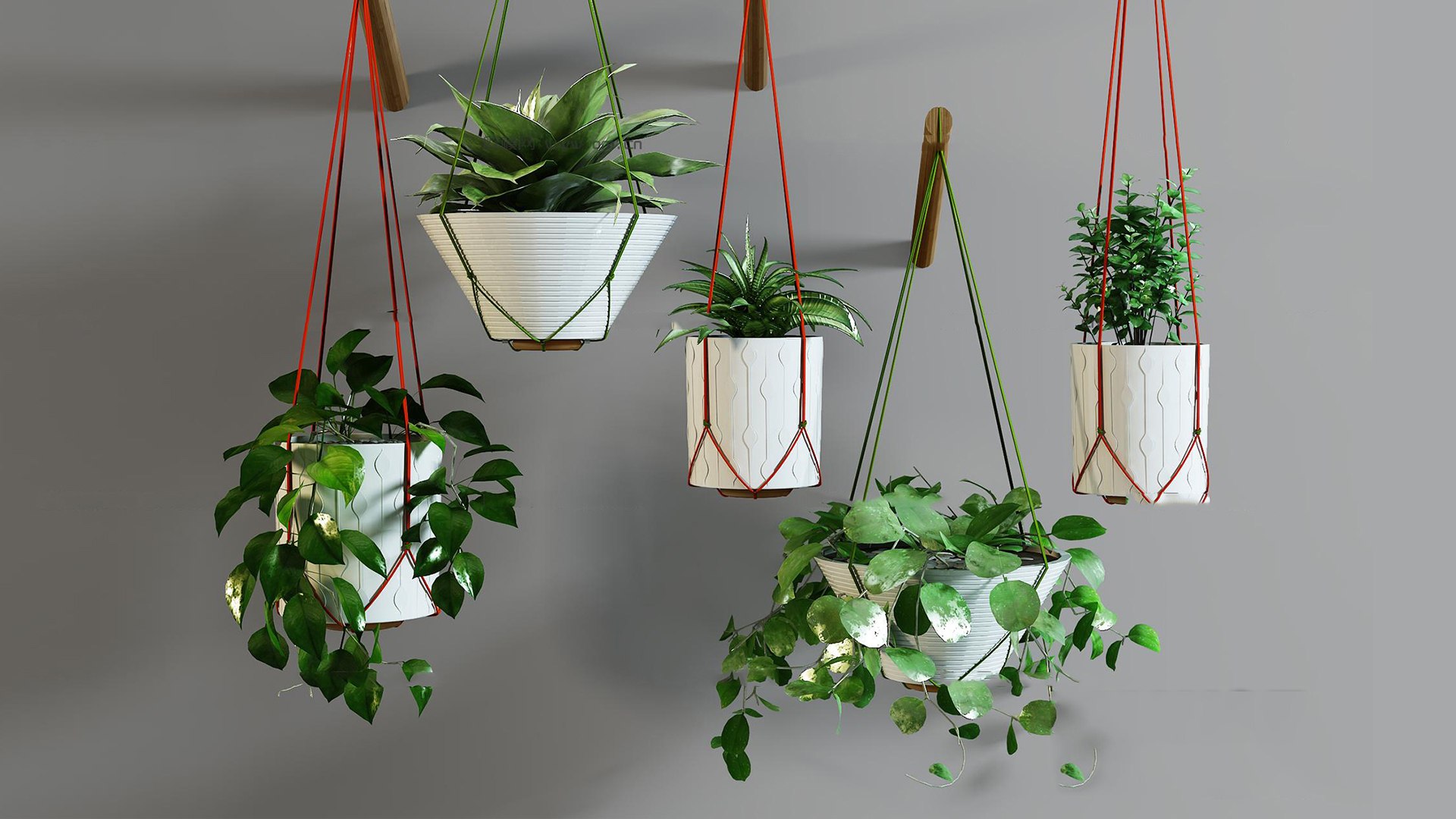 3D hanging plants - TurboSquid 2021701