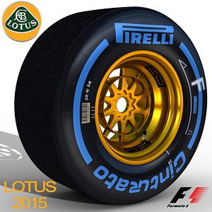 E23 Wet front tyre