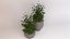 Deco Pot 303