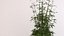 Deco Pot 303