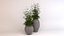 Deco Pot 303
