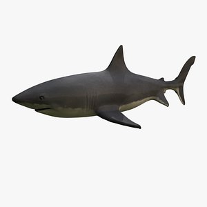 great white shark obj