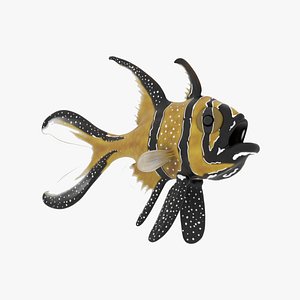 3D Banggai cardinal fish 3D
