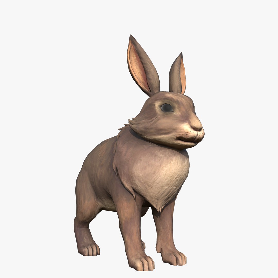 Rabbit Bunny 3D https://p.turbosquid.com/ts-thumb/Vn/ZbuST9/8B/3/png/1744113845/1920x1080/fit_q87/3e5f21703020be76eb94d2efec1922cd986217d2/3.jpg