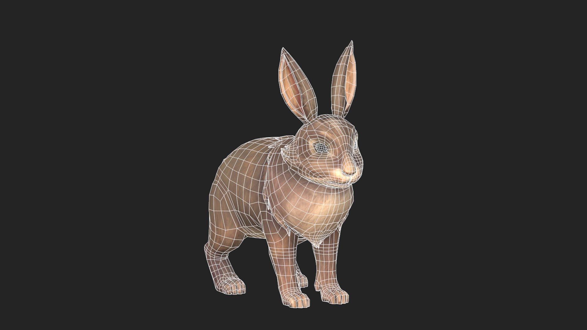 Rabbit Bunny 3D https://p.turbosquid.com/ts-thumb/Vn/ZbuST9/Cx/screenshot_1/png/1744113772/1920x1080/fit_q87/3e6be816e0d2cc09b3bf9ab5df664cebf96acd72/screenshot_1.jpg