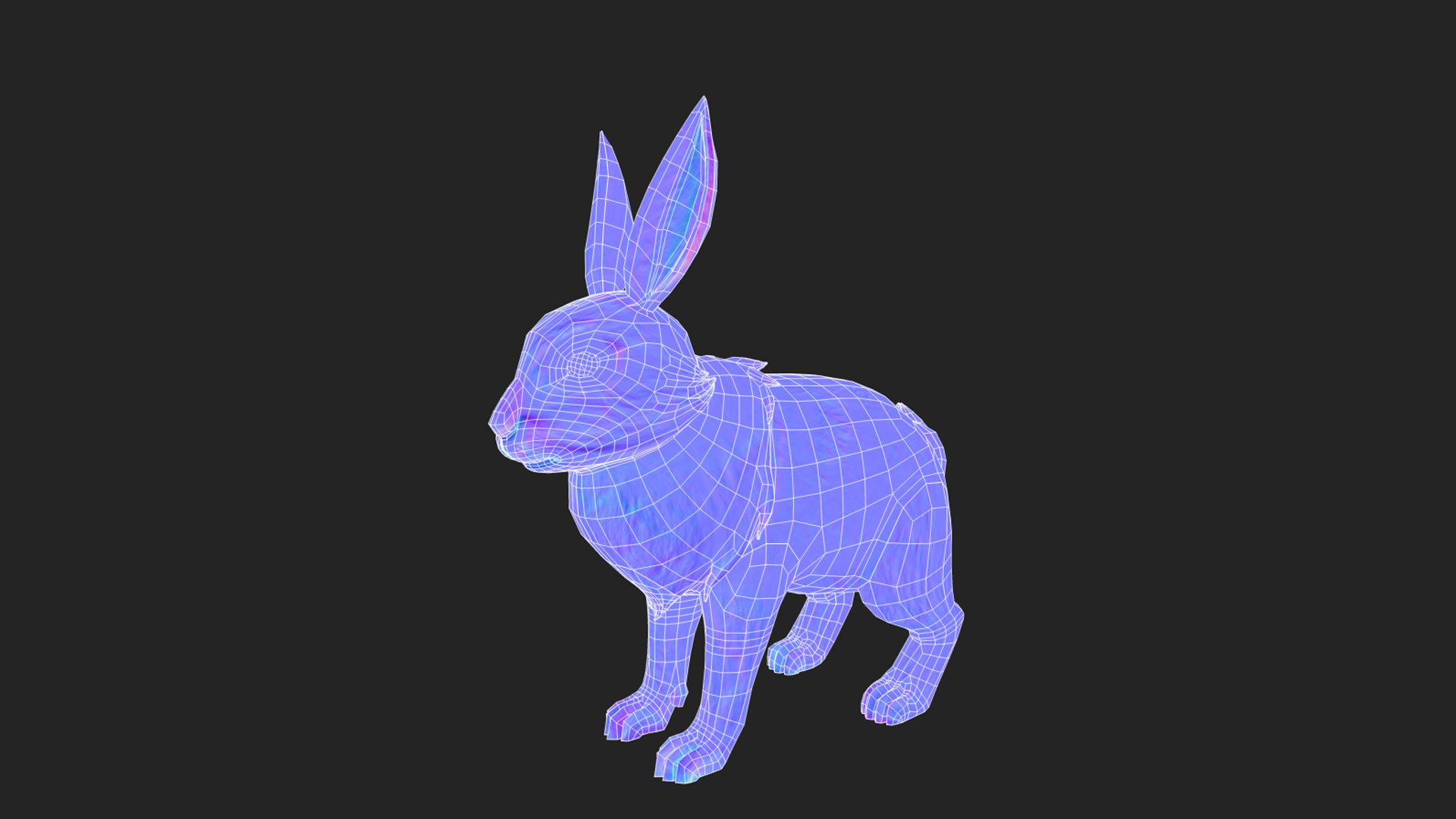 Rabbit Bunny 3D https://p.turbosquid.com/ts-thumb/Vn/ZbuST9/O5/screenshot_4/png/1744113793/1920x1080/fit_q87/5779aebf762037cce7d18f005c9a8e979bbe3e23/screenshot_4.jpg